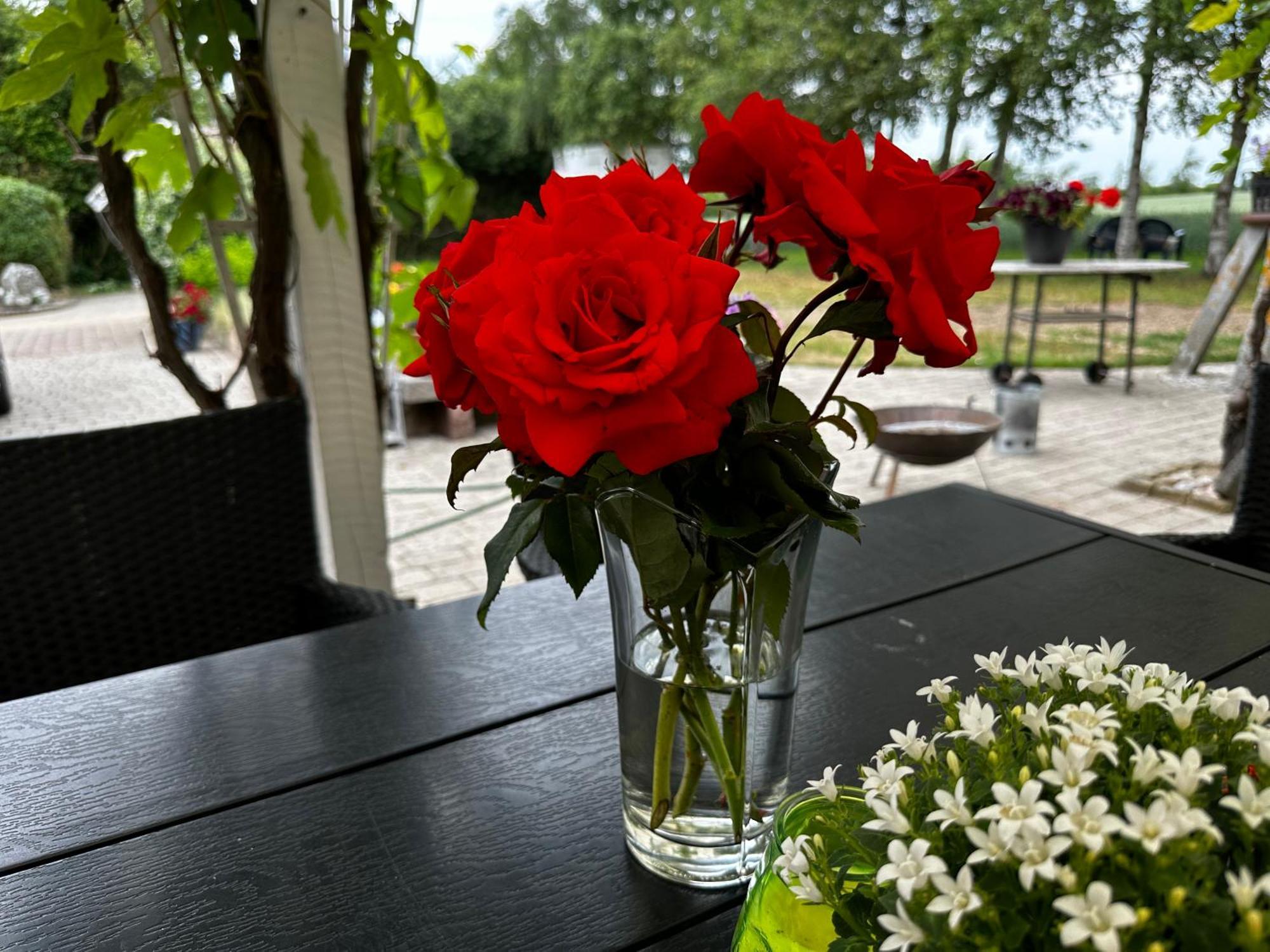 Romantik Luxus Glamping 2 Idestrup Экстерьер фото